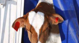 Картинка по теме - как поднять производство