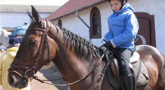 Картинка по теме - как заплести гриву