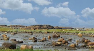 Картинка по теме - как совместить две фотки
