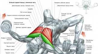 Картинка по теме - как качать нижнюю грудь