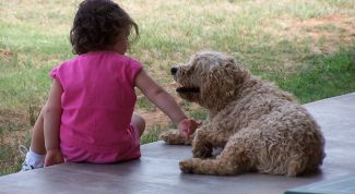 Картинка по теме - как избавиться от запаха рвоты