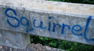 Картинка по теме - как придумать красивый ник