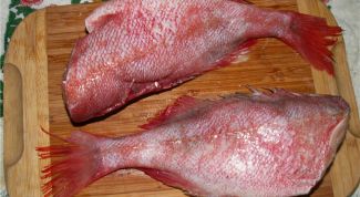 Картинка по теме - как пожарить морского окуня