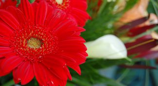 Картинка по теме - как организовать цветочный бизнес