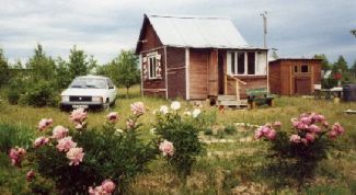 Картинка по теме - как оплатить налог на землю