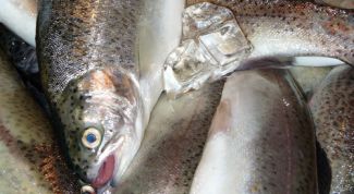 Картинка по теме - как приготовить свежую форель