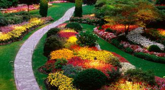 Картинка по теме - как построить дорожку