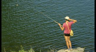 Картинка по теме - как ловить пелядь