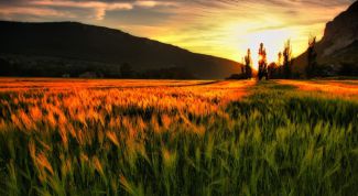 Картинка по теме - как переоформить землю в собственность