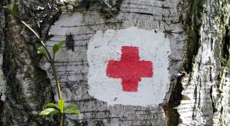 Картинка по теме - как применять березовый дёготь