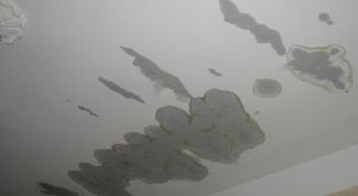 Картинка по теме - как составить акт на протечку крыши