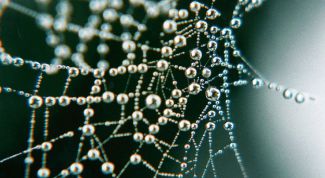 Картинка по теме - как проследить трафик