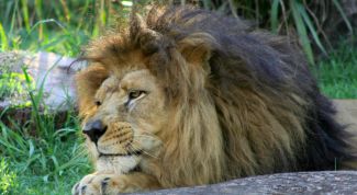 Картинка по теме - как победить скуку