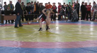 Картинка по теме - как бросать прогибом