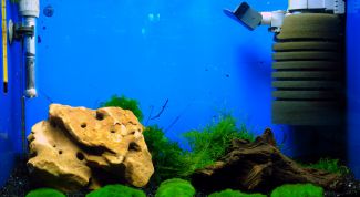 Картинка по теме - как менять фильтр у аквариума