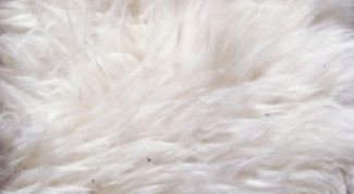 Картинка по теме - как почистить белый искусственный мех