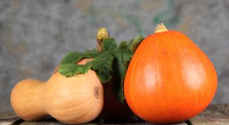 Картинка по теме - как запечь тыкву