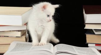 Картинка по теме - как назвать зоомагазин