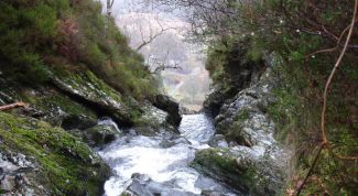 Картинка по теме - как узнать уровень грунтовых вод