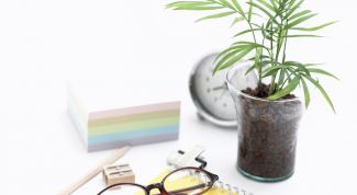 Картинка по теме - как определить зоны по фэн-шуй