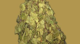 Картинка по теме - как запарить березовый веник