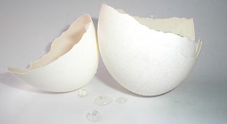 Картинка по теме - как приготовить порошок из скорлупы