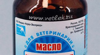 Картинка по теме - как делать компрессы с камфорным маслом