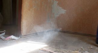 Картинка по теме - как выбрать грунтовку