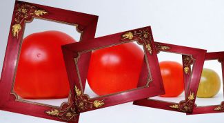 Картинка по теме - как уменьшить размер нескольких фотографий