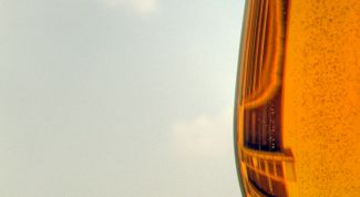 Картинка по теме - как открыть пивной бизнес