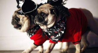 Картинка по теме - как сшить костюм пирата