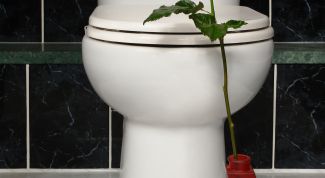 Картинка по теме - как устранить течь из бачка