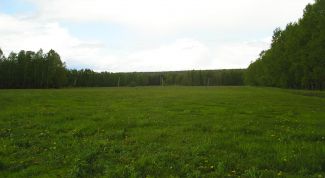 Картинка по теме - как изменить вид разрешенного использования земельного участка