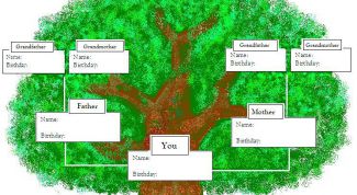 Картинка по теме - как сделать родовое дерево