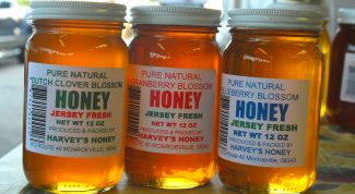 Картинка по теме - как сделать медовую лепешку