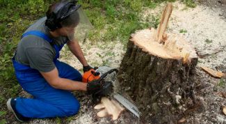 Картинка по теме - как избавиться от пней