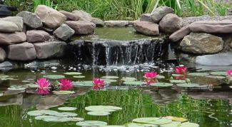 Картинка по теме - как сделать пруд в саду