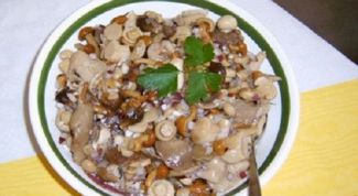 Картинка по теме - как солить опята