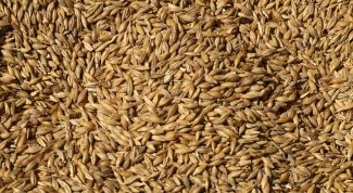 Картинка по теме - как употреблять клетчатку