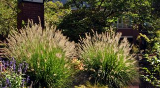 Картинка по теме - как обустроить приусадебный участок