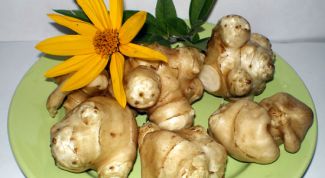 Картинка по теме - как готовить топинамбур