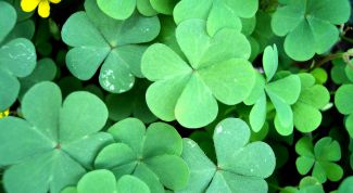 Картинка по теме - как добиться удачи