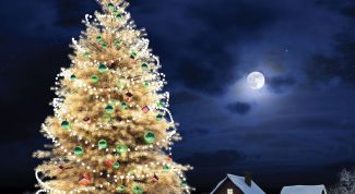 Картинка по теме - как оформить новогодние каникулы