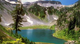 Картинка по теме - как оформить озеро в аренду