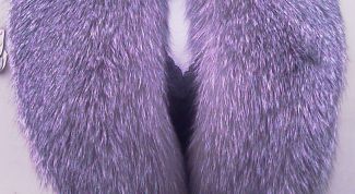 Картинка по теме - как почистить меховой воротник