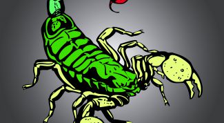 Картинка по теме - как уйти от скорпиона