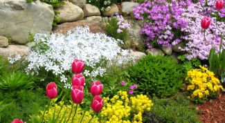 Картинка по теме - как устроить цветник