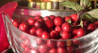 Картинка по теме - как хранить клюкву