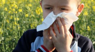 Картинка по теме - как вызвать чихание у ребенка