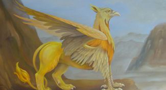 Картинка по теме - как рисовать грифона